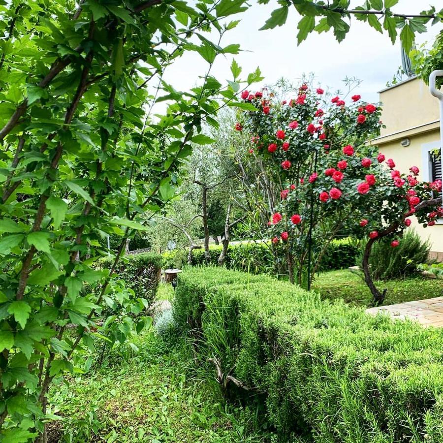 New, Sunny Apartment Surrounded By Nature 奥米沙利 外观 照片